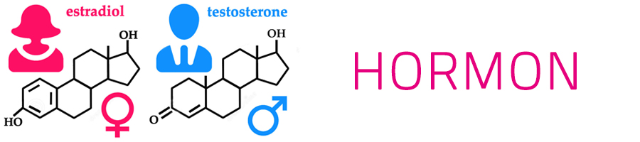 hormon